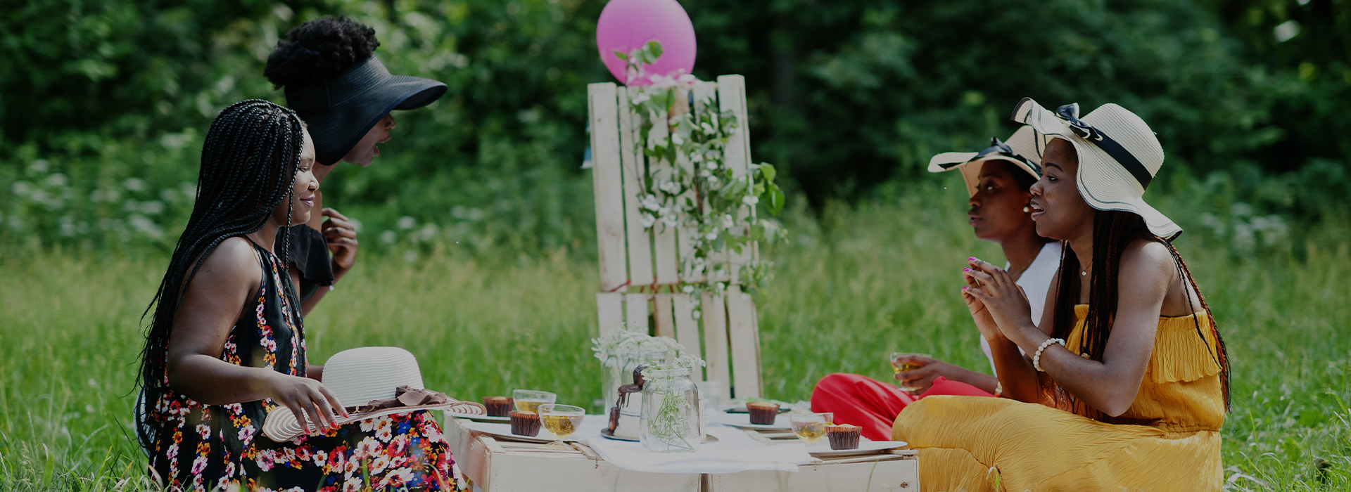 Picnics & Parties